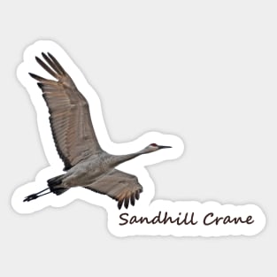 Sandhill Crane Sticker